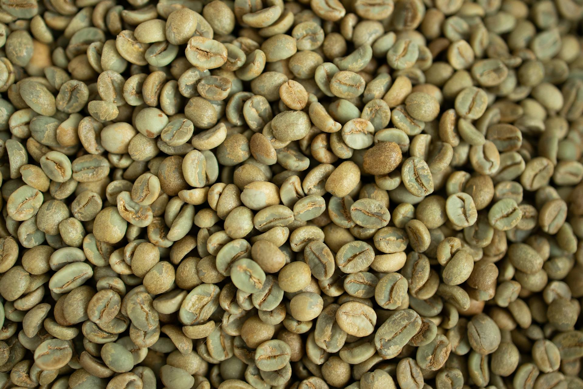 What Makes a Coffee Single-Origin? Why It Matters to Flavor & Quality