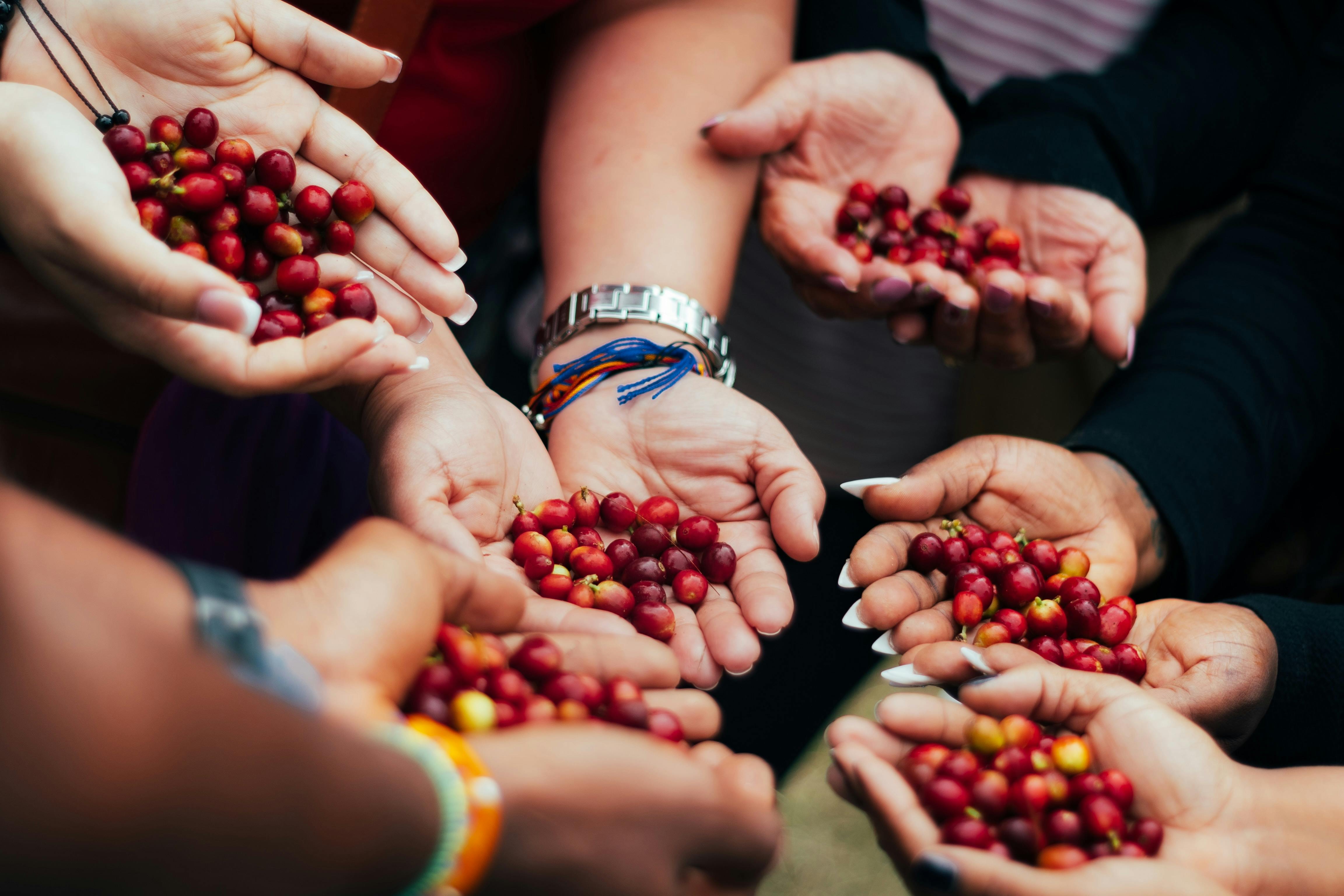 What is Specialty Coffee? Understanding What Makes It Different
